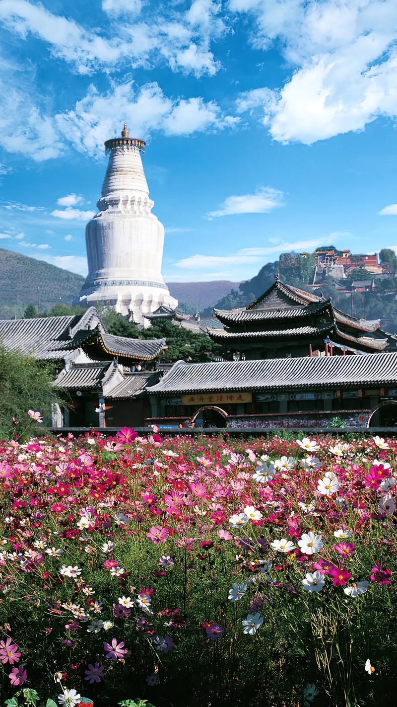 探寻文化的韵味 —— 香聚文化院引领心灵之旅